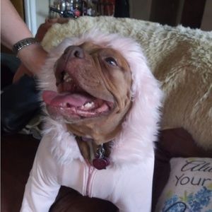 CUSTOM FUR TRIMMED BULLDOG HOODIES!!!